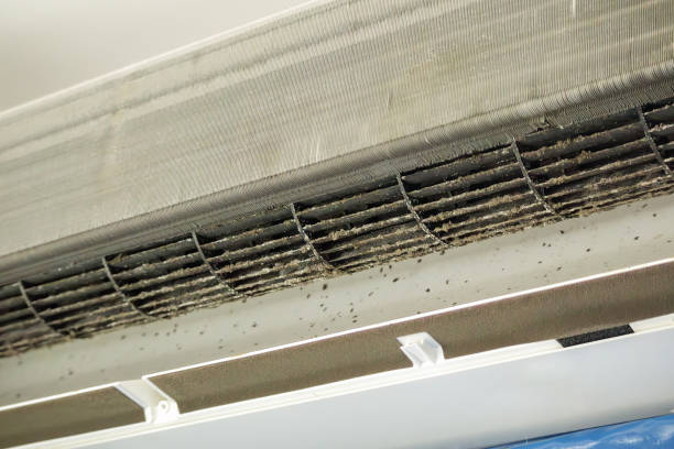 Best Residential Air Duct Cleaning  in Bohemia, NY